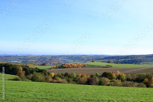 Meadow with grass and big autumn trees against blue sky