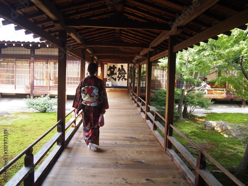 An Asian woman in a traditional Japanese kimono walking down the hallway, Zen garden, Kennin-ji Temple, Kyoto, Japan