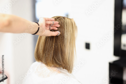 Woman's hair is cut. Training and courses for profession hairdresser concept