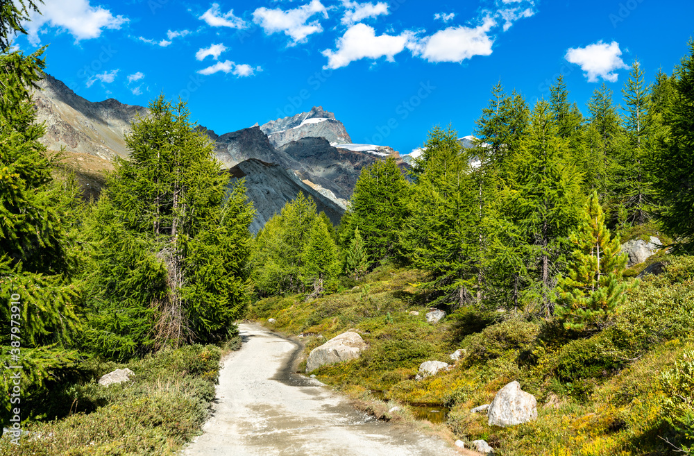 View of the Swiss Alps near Zermatt