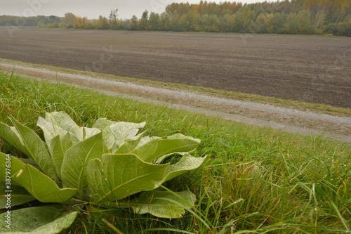 Landschafts Hintergrund mit Platz für text photo