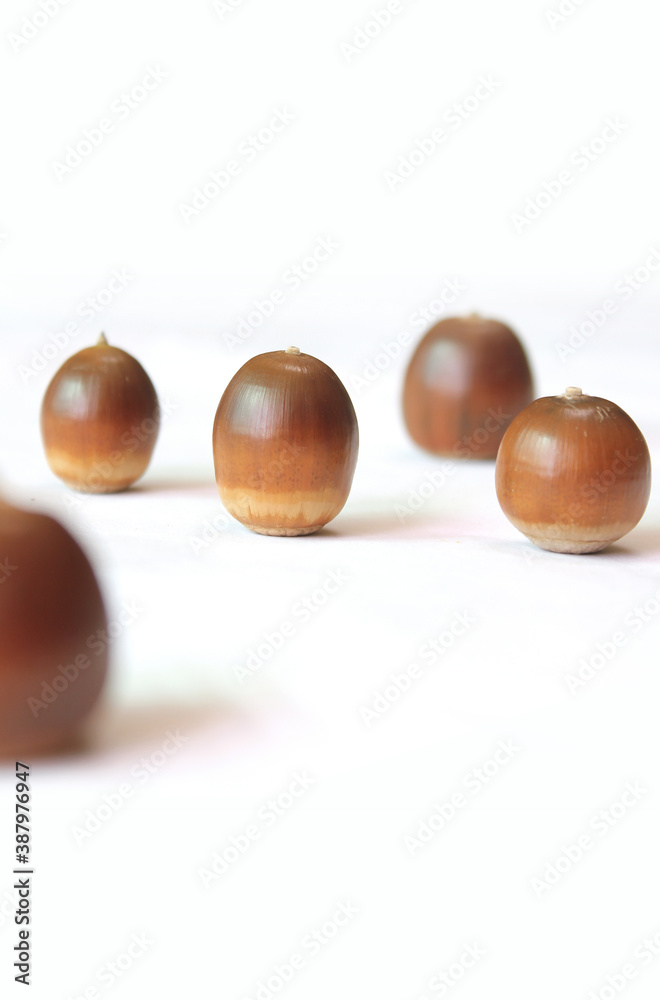 Acorns on a white background Acorns on a white background