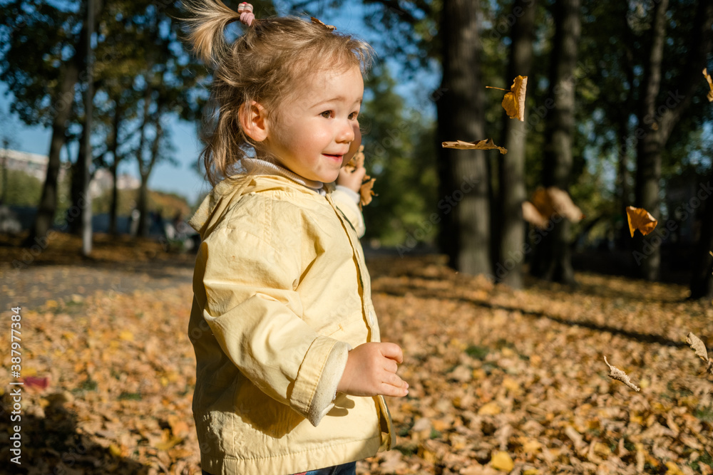 Caucasian child girl throws leaves in the park in autumn Caucasian child girl throws leaves in the park in autumn