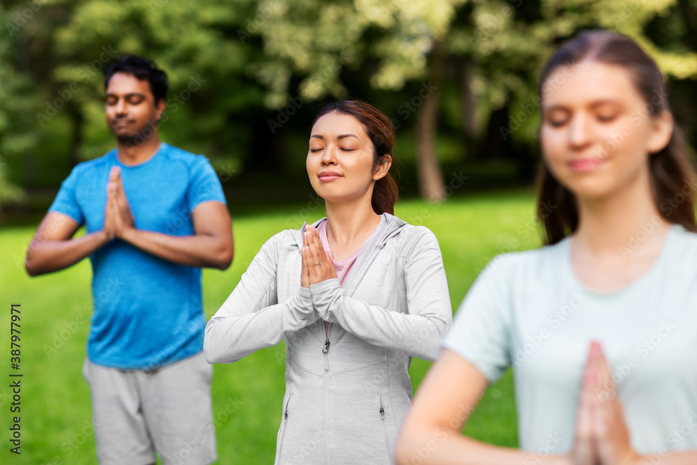 fitness, sport and healthy lifestyle concept - group of happy people doing yoga at summer park fitness, sport and healthy lifestyle concept - group of happy people doing yoga at summer park