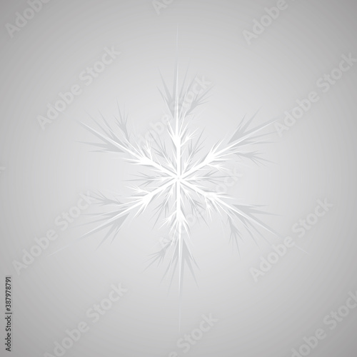 vector  isolated  white drop  ornament on gray background