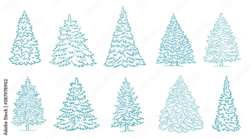 Christmas tree set sketches. Conifer spruce. New year fir-tree postcard. Hand drawn contour vector blue outline.