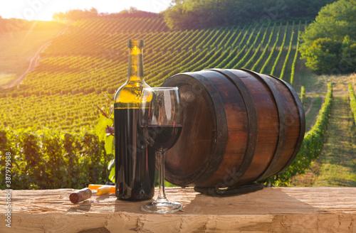 White wine with barrel on vineyard in Chianti, Tuscany, Italy