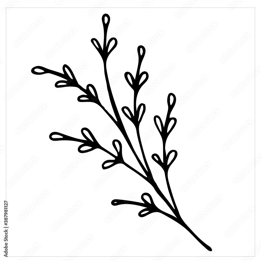 Simple branch with leaves, isolated hand drawn vector illustration on white background Simple branch with leaves, isolated hand drawn vector illustration on white background
