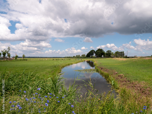 Natural river at the polder of Eemnes in the Netherlands