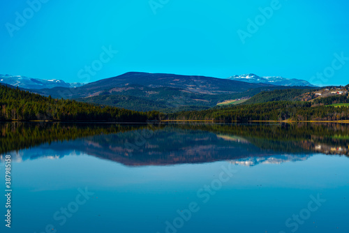Calm lake surrounded by wild green pine forests and snowy mountain ranges in the distance.
