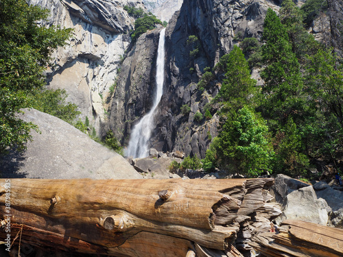 Beautiful Yosemite falls and the pine at Yosemite national park, National park in California, USA