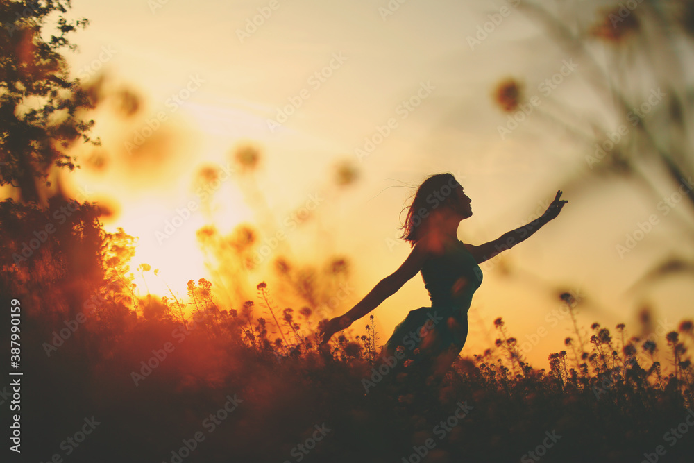 Silhouette of a slender poetic girl in a field at sunset among the tsevts - obrazy, fototapety, plakaty 