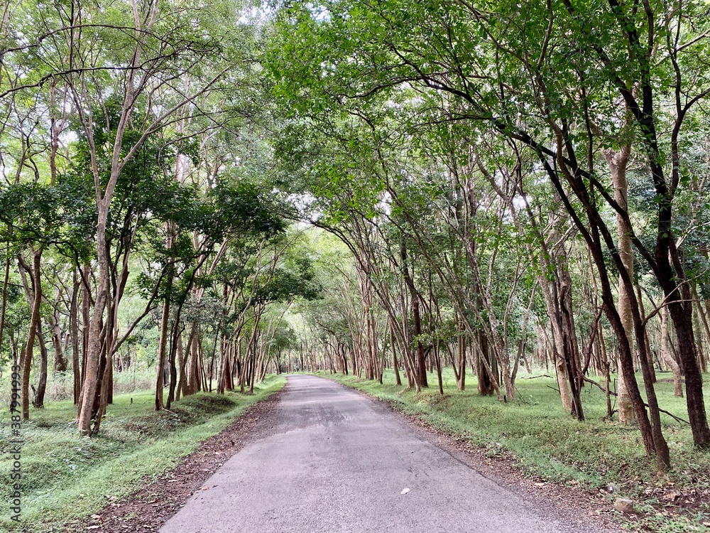 BR hills beautiful destination for nature lovers and wildlife photographers BR hills beautiful destination for nature lovers and wildlife photographers