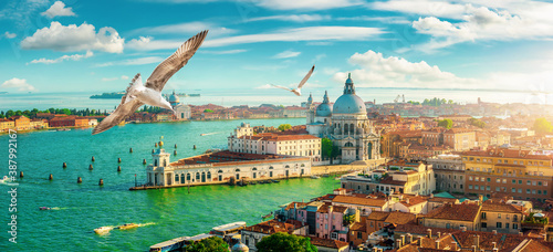Venice and San Marco © Givaga