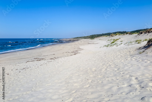 Beaches with fine white sand and blue sea  cloudless sky  city of Afife  parish of Viana do Castelo municipality  NUT III sub-region of Alto Minho  Portugal