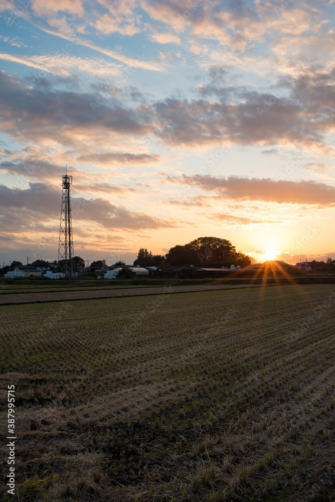 Obraz premium sunset sky over the agricultural land