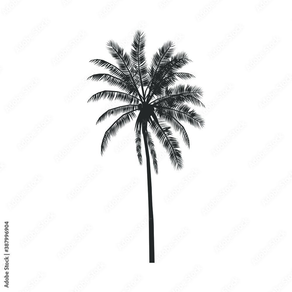 Obraz premium Palm tree icon. Tropical palm sign isolated on white background. Detailed symbol. Vector illustration