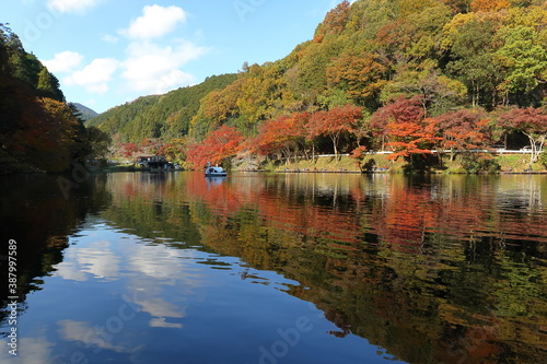 秋色に染まった鎌北湖 (埼玉県毛呂町)(秋/紅葉)