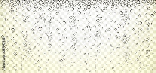 Champagne Bubbles on a Horizontal Background
