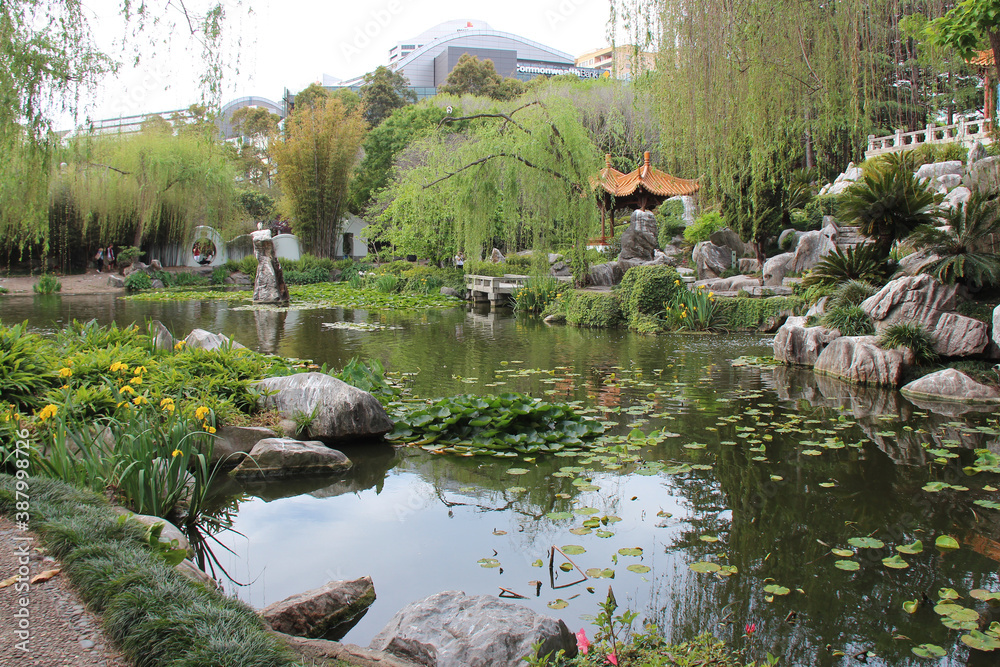 chinese garden in sydney (australia)