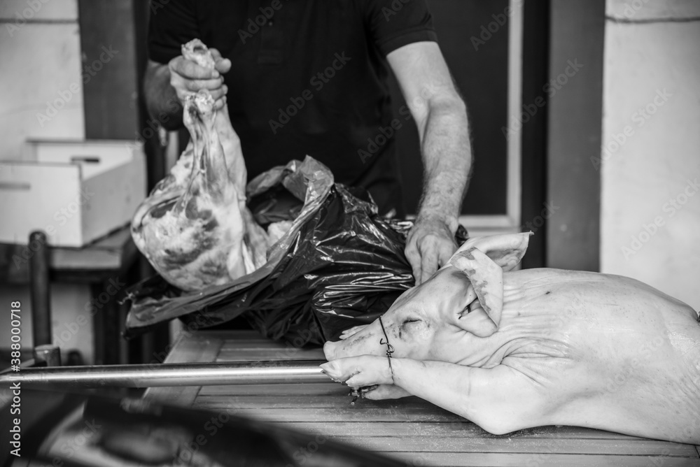 Preparing whole pig and lamb for roasting and grilling on a skewer on a countryside fire
Preparing whole pig and lamb for roasting and grilling on a skewer on a countryside fire