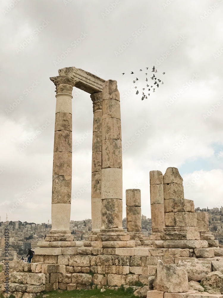 Birds flying through the Roman ruins of the Amman citadel