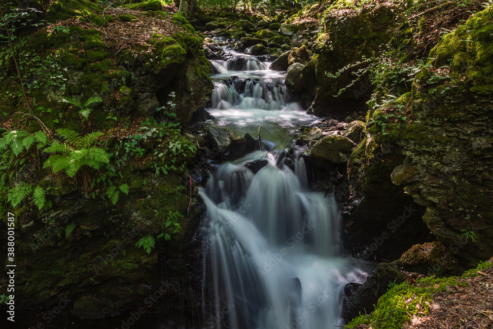 Fototapeta premium Auvergne 