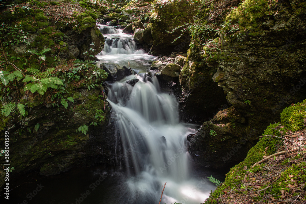 Auvergne 