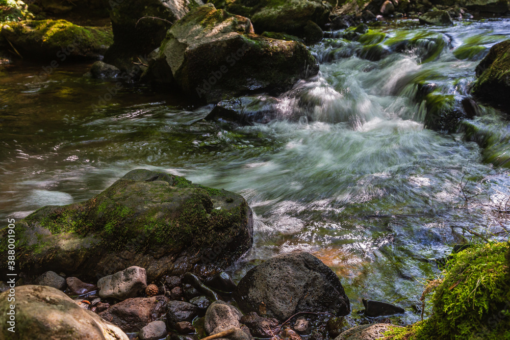 Fototapeta premium Auvergne