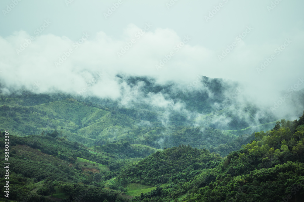 Fog is passing through the mountains of northern Thailand in the rainy season.