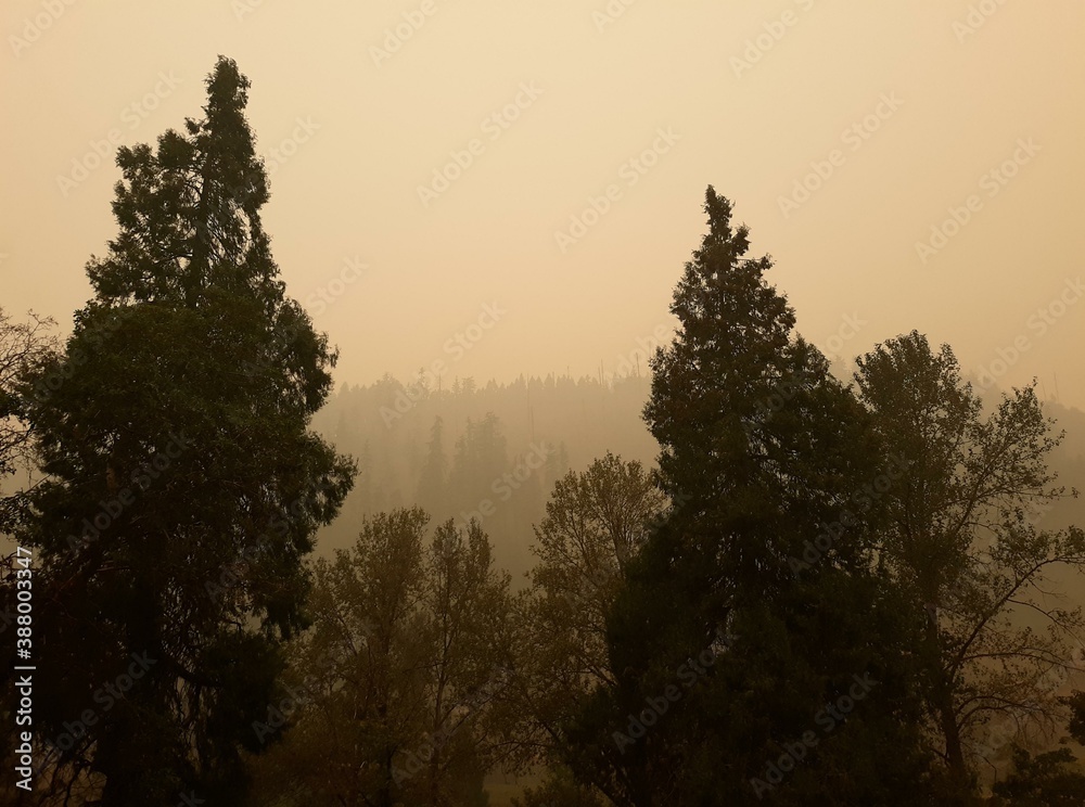 Fototapeta premium sunset in the mountains