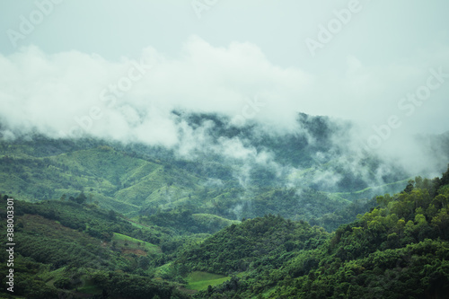 Fog is passing through the mountains of northern Thailand in the rainy season. © Yuwarin