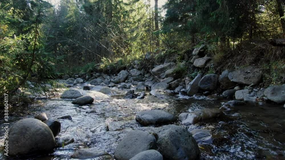 Stream of clean highland river flowing through huge boulders in woods on sunny day. Beautiful morning landscape in the autumn mountain - aerial view.