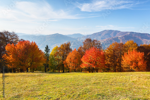 Autumn scenery. Landscape with amazing mountains, fields and forests covered with orange leaf. The lawn is enlightened by the sun rays. Touristic place Carpathians, Ukraine, Europe.