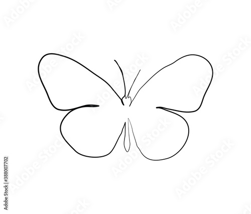 SINGLE-LINE DRAWING OF A BUTTERFLY. This hand-drawn, continuous, line illustration is part of a collection of artworks inspired by the drawings of Picasso. Each gesture sketch was created by hand.