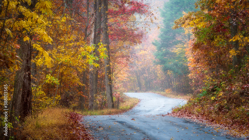 A road through Stokes State Forest in New Jersey on a foggy autumn morning
