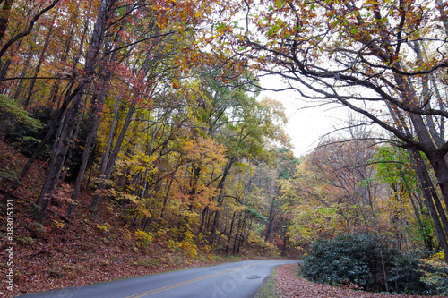 Autumn trees along mountain road curve 3