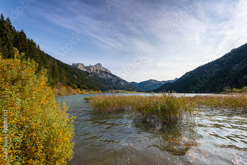 autumn panorama from the lake haldensee in tannheimertal with reeds and bushes in the foreground