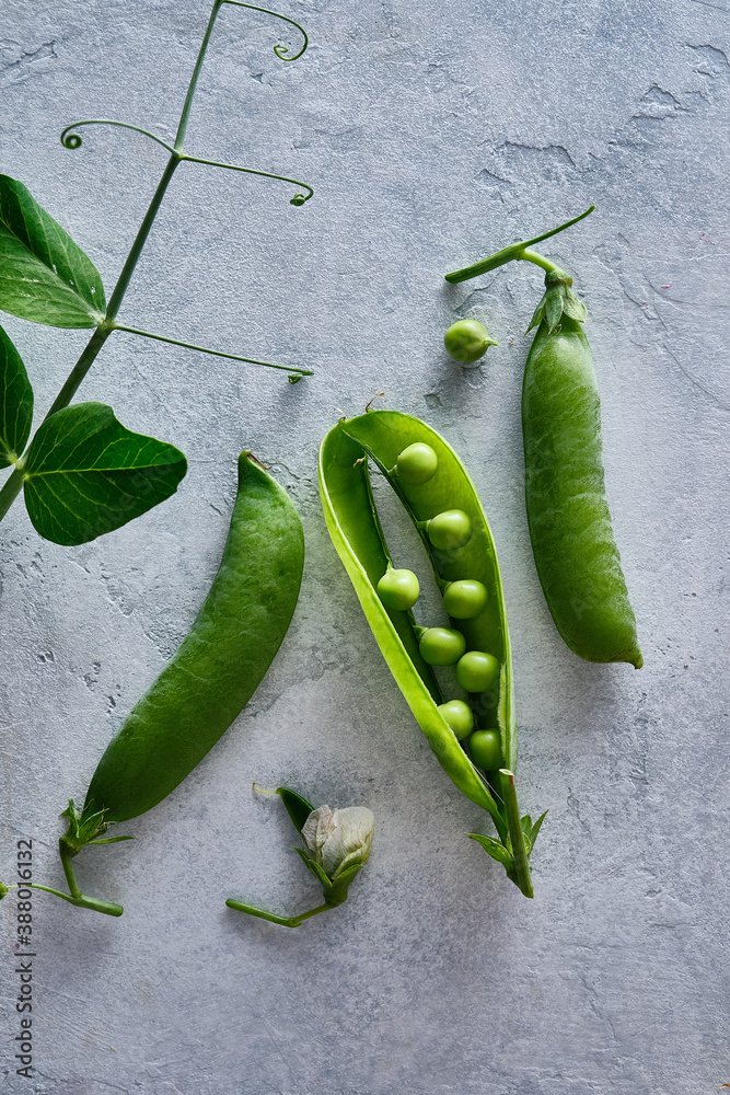 Green and purple peas and green beans. Collection of variety green