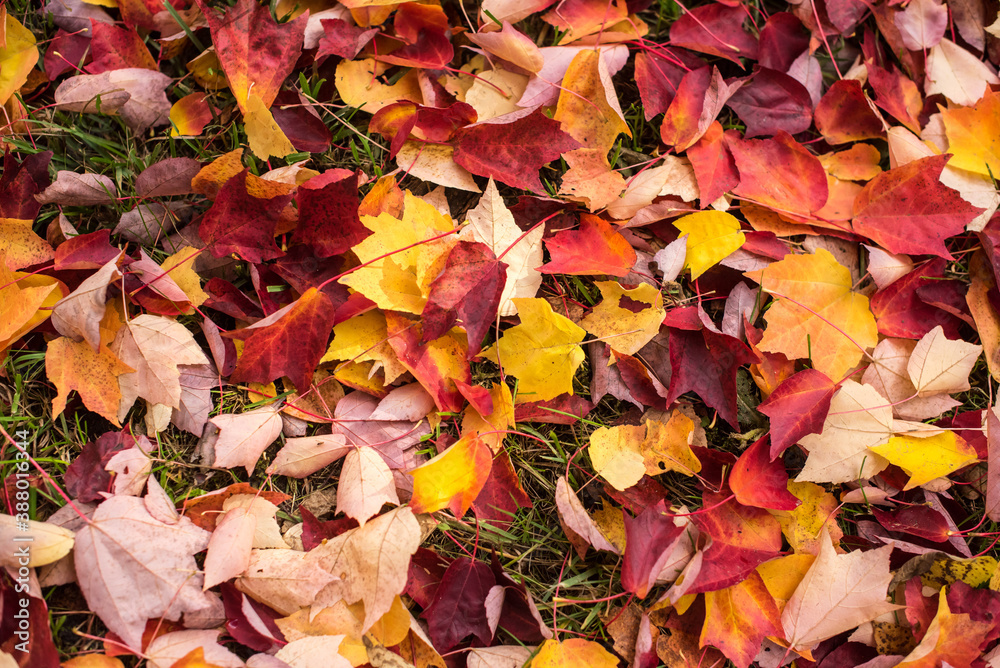 Jahreszeiten | Herbst | Natur