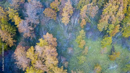 秋の紅葉-ドローン空撮-日光-栃木-日本