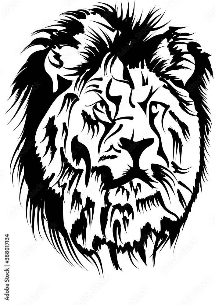 Obraz premium male lion