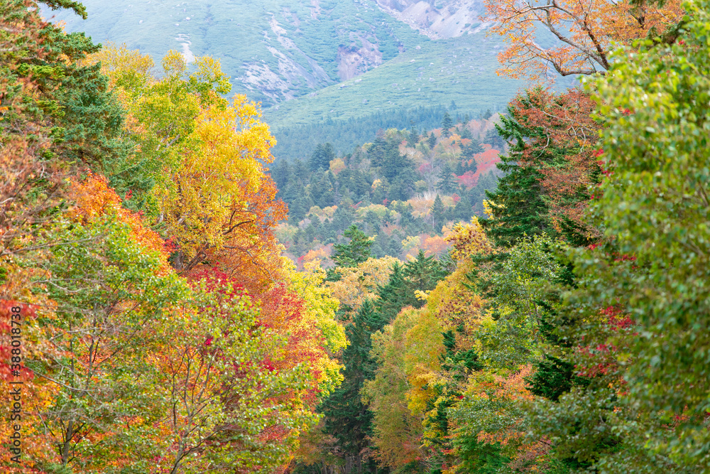 北海道　オンネトーの紅葉風景