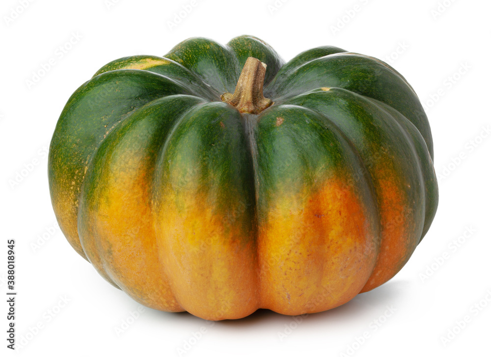Studio shot of a pumpkin isolated on white background Studio shot of a pumpkin isolated on white background