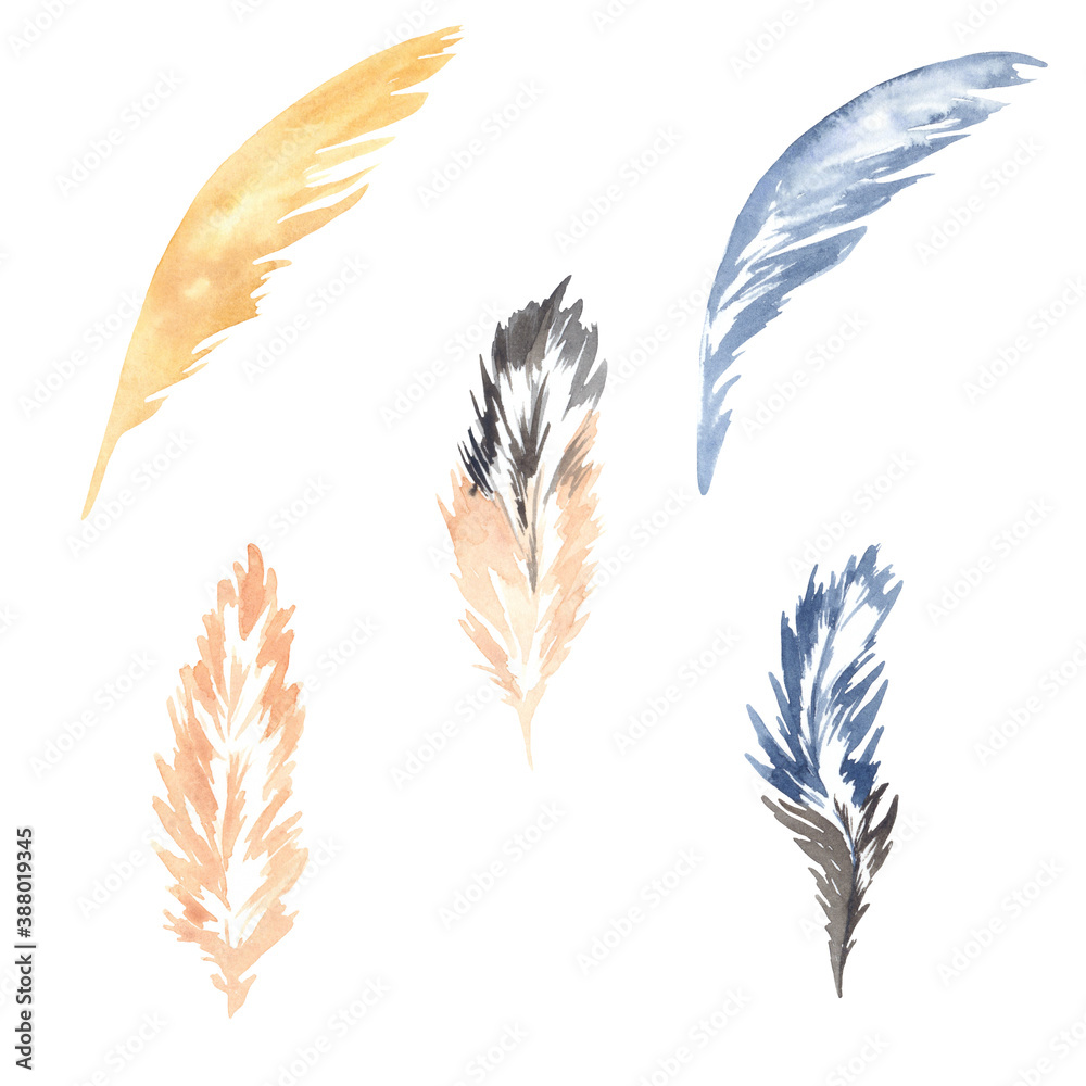 Watercolor illustration of blue and beige bird feathers. Perfect for print, web design, planner, gift items and many other creative ideas. Watercolor illustration of blue and beige bird feathers. Perfect for print, web design, planner, gift items and many other creative ideas.