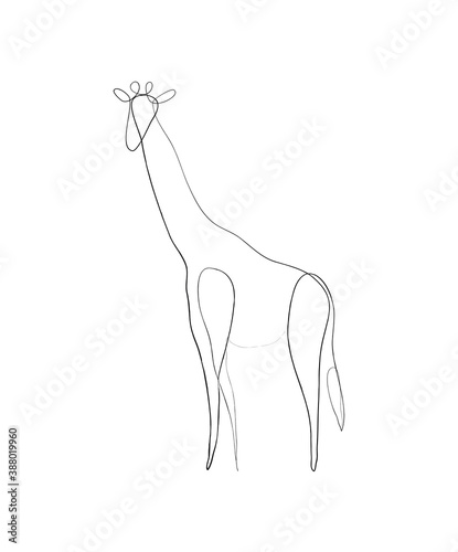 SINGLE-LINE DRAWING OF A GIRAFFE. This hand-drawn, continuous, line illustration is part of a collection of artworks inspired by the drawings of Picasso. Each gesture sketch was created by hand.
