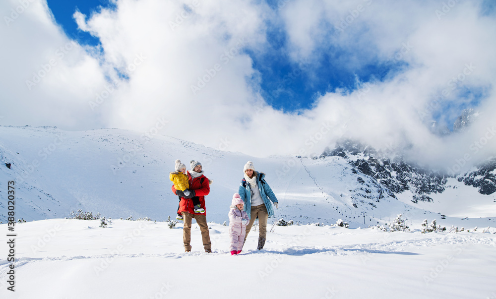 Father and mother with small son in winter nature, standing in the snow. Father and mother with small son in winter nature, standing in the snow.