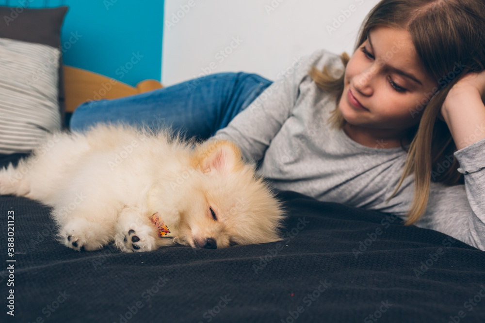 little girl playing with her little puppy at home little girl playing with her little puppy at home