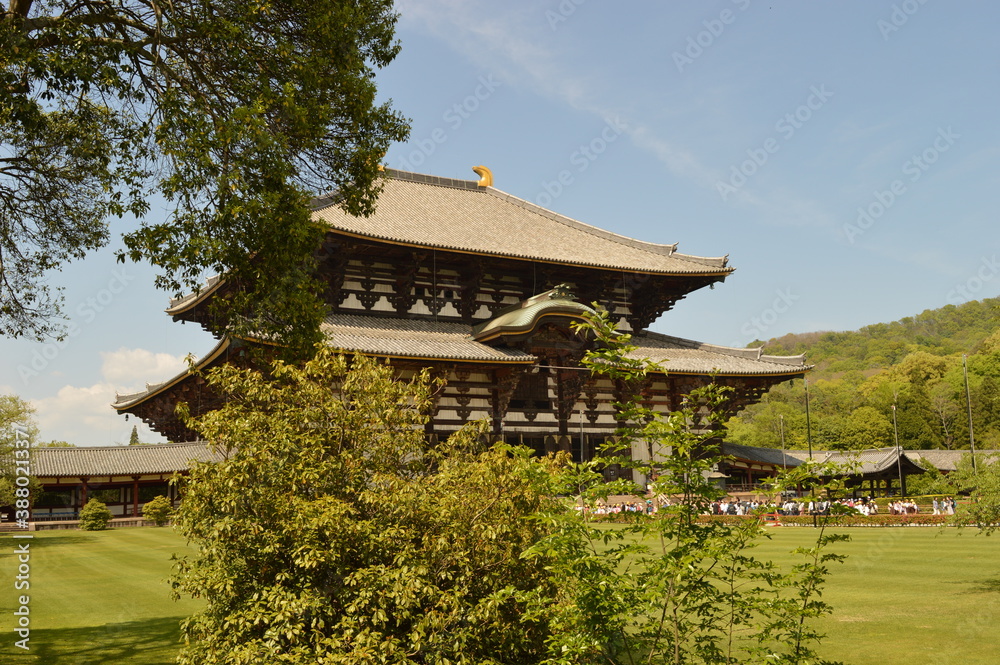 Obraz premium Exploring the beautiful temples and pagodas around Kyoto and Nara on Honshu Island, Japan