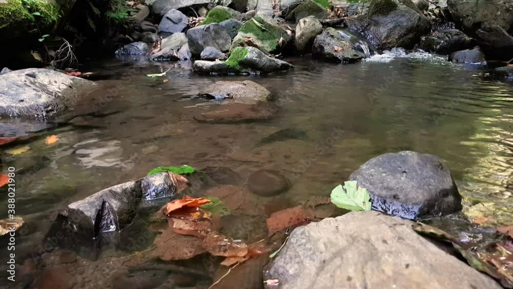 Wonderful fresh river water with rapids on flowing in mountain forest Wonderful fresh river water with rapids on flowing in mountain forest